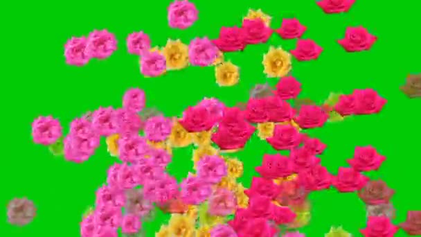 Animerad Video Blommor Utspridda Grön Bakgrund — Stockvideo
