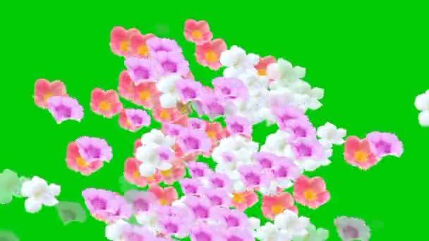 Vidéo Animée Fleurs Éparpillées Sur Fond Vert — Video