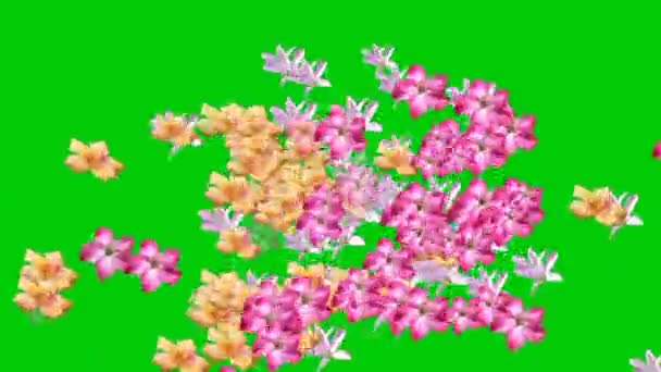 Animowany Film Kwiatami Rozrzuconymi Zielonym Tle — Wideo stockowe