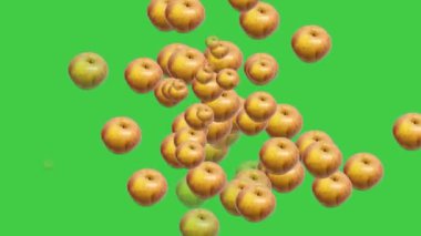 Yeşil arka planda dağılmış elmaların canlandırılmış videosu.