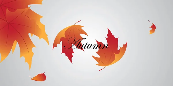 Hintergrund Vektor Design Mit Herbstmotiv — Stockvektor