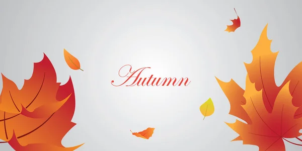 Hintergrund Vektor Design Mit Herbstmotiv — Stockvektor
