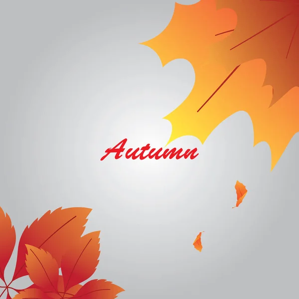 Vektor Herbst Hintergrund Mit Ahornblättern — Stockvektor