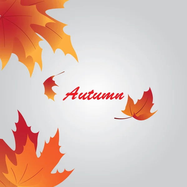 Векторный Осенний Фон Кленовыми Листьями — стоковый вектор
