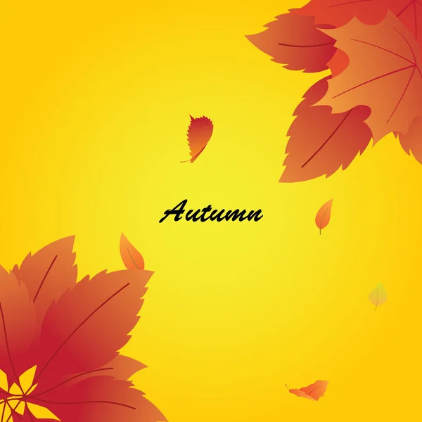 Vektor Herbst Hintergrund Mit Ahornblättern — Stockvektor
