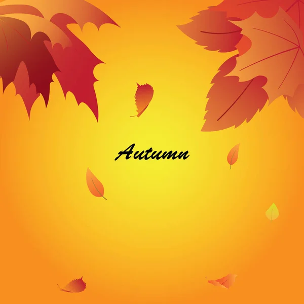 Vector Autumn Background Maple Leaves — Stock Vector
