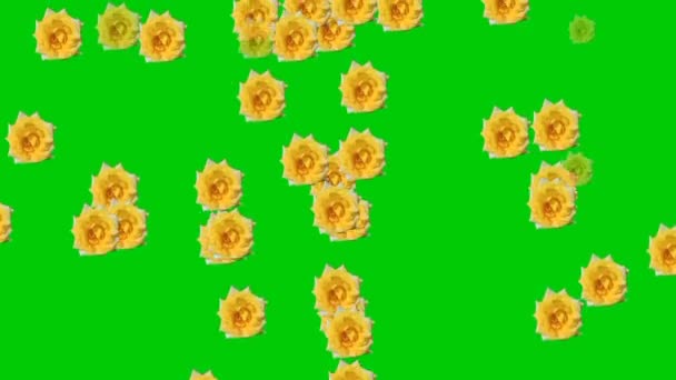 Animatie Video Van Bloemenregen Met Een Groene Achtergrond — Stockvideo
