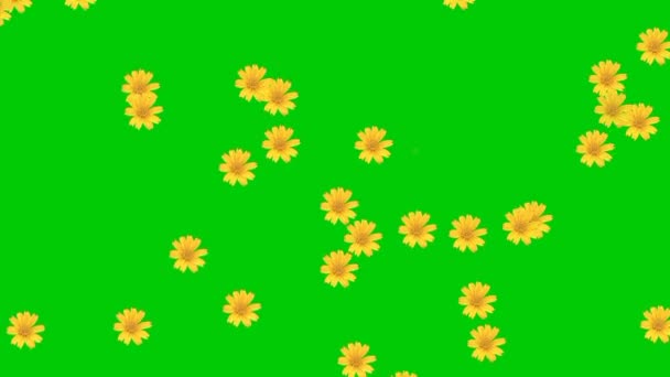 Animowane Wideo Kwiatowym Deszczem Zielonym Tłem — Wideo stockowe