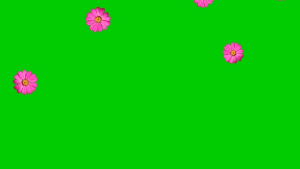 Animiertes Video Von Blumenregen Mit Grünem Hintergrund — Stockvideo