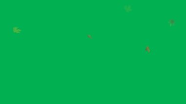 Kuru yaprakların videoları sonbahar teması için uygundur.