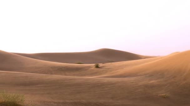 Ветер Дующий Песок Песчаных Дюн — стоковое видео