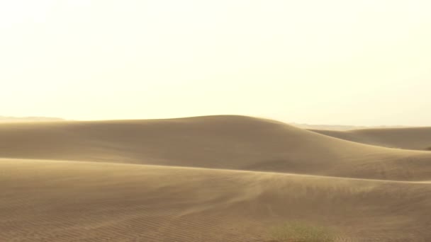 Topo Uma Duna Areia Com Poeira Areia Soprando Sobre Topo — Vídeo de Stock