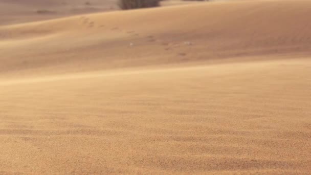 Les Dunes Sable Soufflées Par Vent Violent — Video