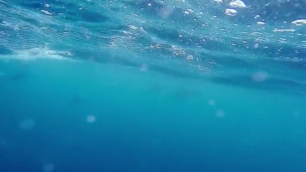 Artistieke Onderwatergolven Van Zee — Stockvideo