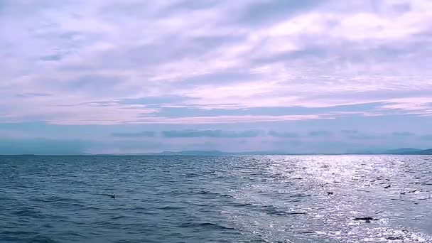 Mare Durante Tramonto Con Onde Calme Della Spiaggia Bel Cielo — Video Stock