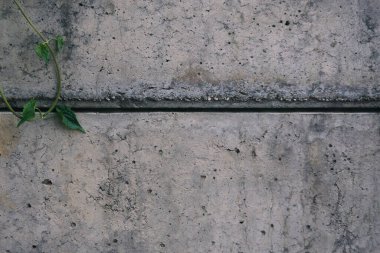 Gri kabataslak yapı beton grunge kaba duvar geniş arkaplan