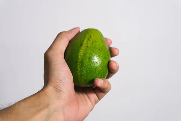 Avocado fruit \