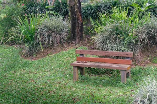 Boş Bir Ahşap Bank Yemyeşil Yapraklı Bir Parkın Ortasında Rahatlamak — Stok fotoğraf