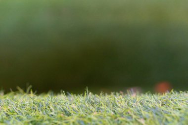 Ürün görüntülemek için bulanık arkaplanı olan boş yeşil çimen