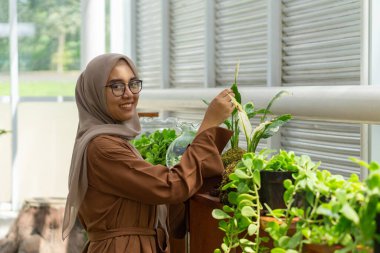 Küçük işletme sahibi kaktüs dükkanı gülen ve tesettürlü