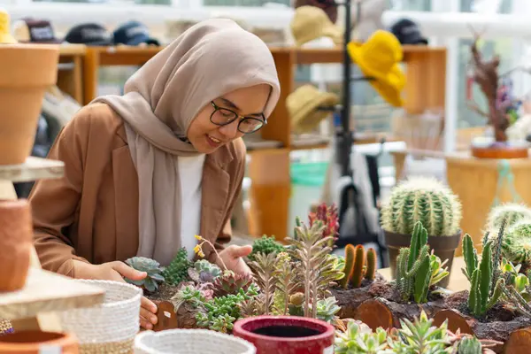 Küçük bir kaktüs dükkanı sahibi kaktüsünü kontrol ederken gülümsüyor ve başörtüsü takıyor.