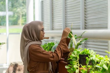 Küçük işletme sahibi kaktüs dükkanı gülen ve tesettürlü