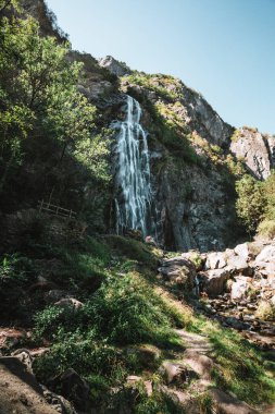Majestic waterfall surrounded by trees in the Alps