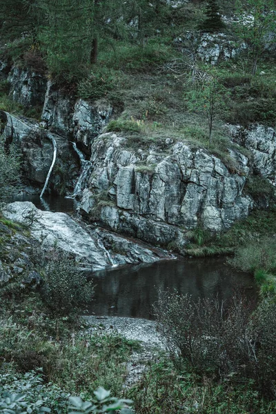 Majestic Waterfall Surrounded Trees Alps — Fotografia de Stock