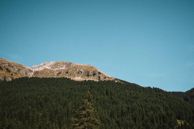 Majestic mountains in the Alps covered with trees and clouds