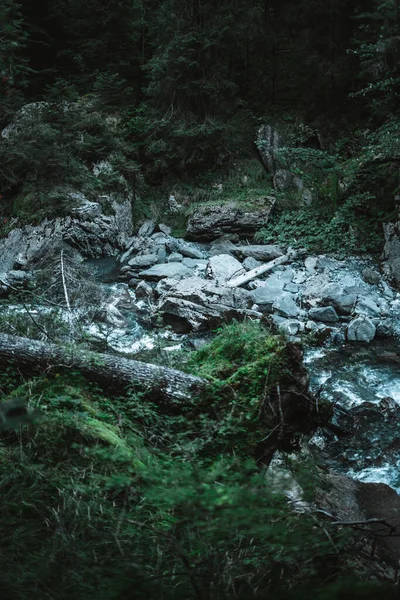Majestuosa Cascada Rodeada Árboles Los Alpes —  Fotos de Stock