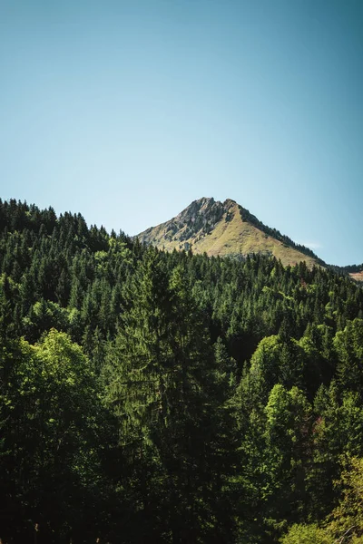 Majestätiska Berg Alperna Täckta Med Träd Och Moln — Stockfoto