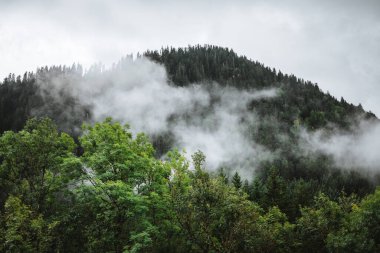 Majestic mountains in the Alps covered with trees and clouds