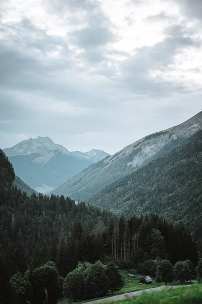 Majestic Mountains Alps Covered Trees Clouds — 스톡 사진