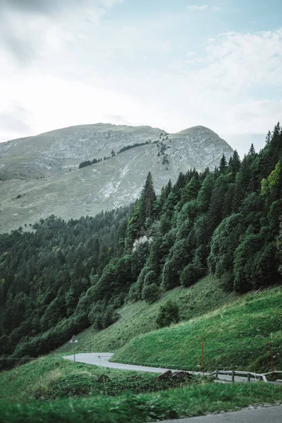 Величественные Горы Альпах Покрытые Деревьями Облаками — стоковое фото