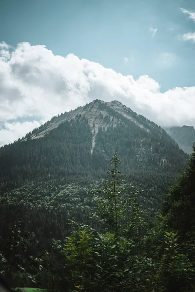 Majestic Mountains Alps Covered Trees Clouds — Stock fotografie