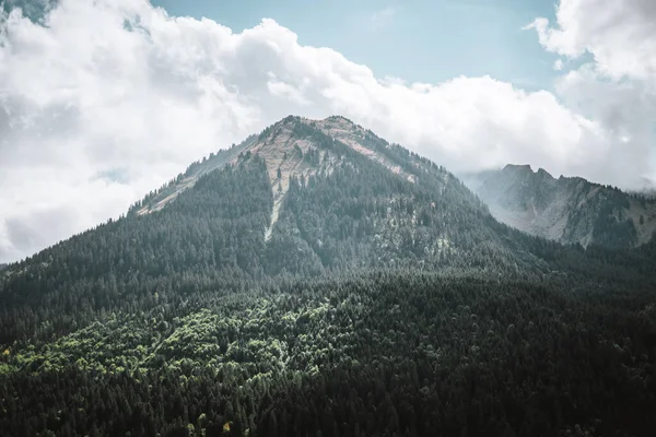 Majestic Βουνά Στις Άλπεις Καλύπτονται Δέντρα Και Σύννεφα — Φωτογραφία Αρχείου