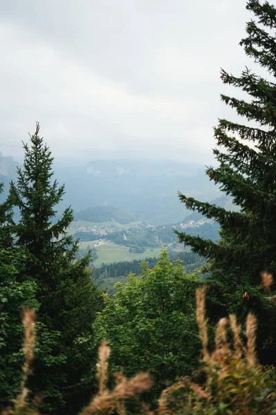 Majestueuze Bergen Alpen Bedekt Met Bomen Wolken — Stockfoto