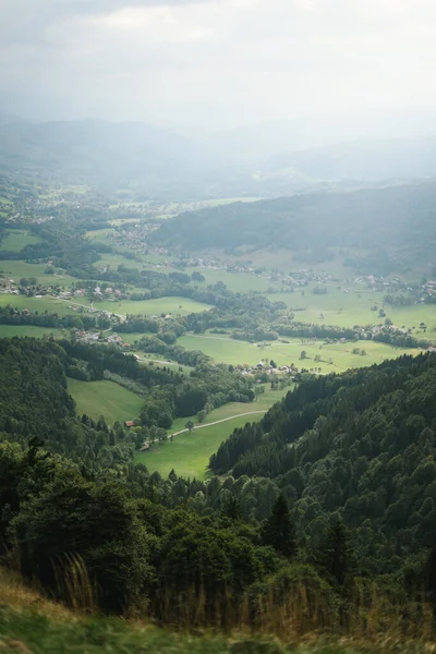 Majestatyczne Góry Alpach Pokryte Drzewami Chmurami — Zdjęcie stockowe