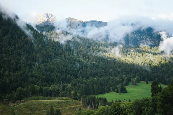 Majestic Βουνά Στις Άλπεις Καλύπτονται Δέντρα Και Σύννεφα — Φωτογραφία Αρχείου