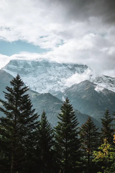 Majestic Mountain Landscape French Alps Background Panorama — Stock Photo, Image