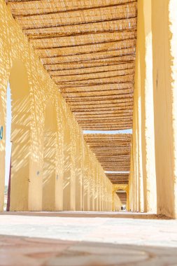 Sıcak ve güneşli bir günde yürümek için ideal, süpürge saplarıyla kaplı sarı kemerli bir duvarı olan bir patika. Güneş ışığı ve gölgeli yüzey düzeyi görünümü, çok uzaktaki tanınmayan yayalar.