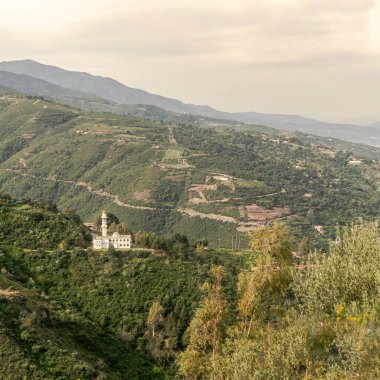 Mescid Beni Ali, Cezayir 'in Blida kentindeki Chra dağlarının ormanlık bir bölgesine kurulmuş ıssız bir cami. Ağaçlarla, çalılarla, elektrik direkleriyle ve yukarıdan görülen bulutlu gökyüzüyle çevrili..