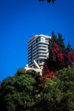 Tel Aviv 'deki zıtlıklar. Kızıl Çiçekler, Mavi Gökyüzü ve Şehir Modernliği.