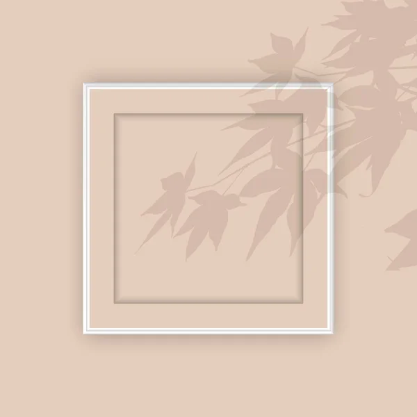 Порожня Рамка Картини Накладанням Тіні Рослини — стоковий вектор