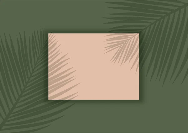 Weergave Mock Achtergrond Met Palmboom Bladeren Schaduw Overlay — Stockvector