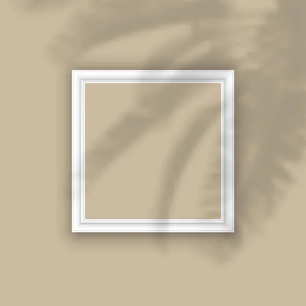 Moldura Imagem Branco Com Sobreposição Sombra Planta — Vetor de Stock