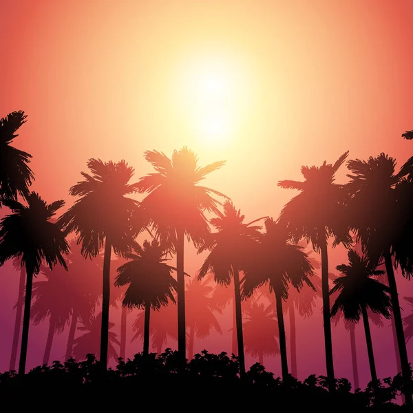 Silhouette Palm Tree Landscape Sunset Sky — Stock Vector