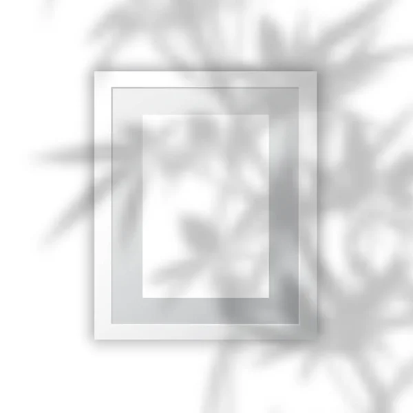 Cadre Photo Vierge Avec Ombre Floue Sur Plante — Image vectorielle