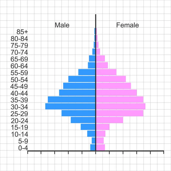 Population Pyramid Template Sample Age Structure Diagram Isolated White Background — Stock vektor