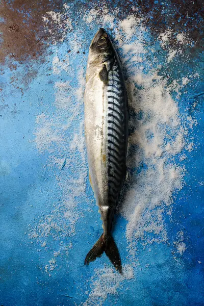 Mavi arka planda tuzlu çiğ uskumru. Deniz teması. Yukarıdan görüntüle.